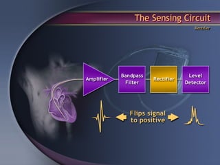 The Sensing Circuit
               Rectifier
 