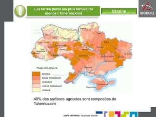©2014 UBIFRANCE. Tous droits réservés 
Ukraine 
Les terres parmi les plus fertiles du monde ( Tchernoziom) 
40% des surfaces agricoles sont composées de Tchernoziom  