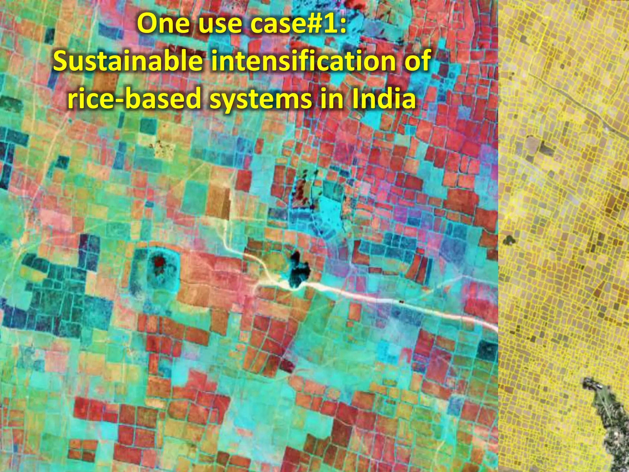 One use case#1:
Sustainable intensification of
rice-based systems in India
 