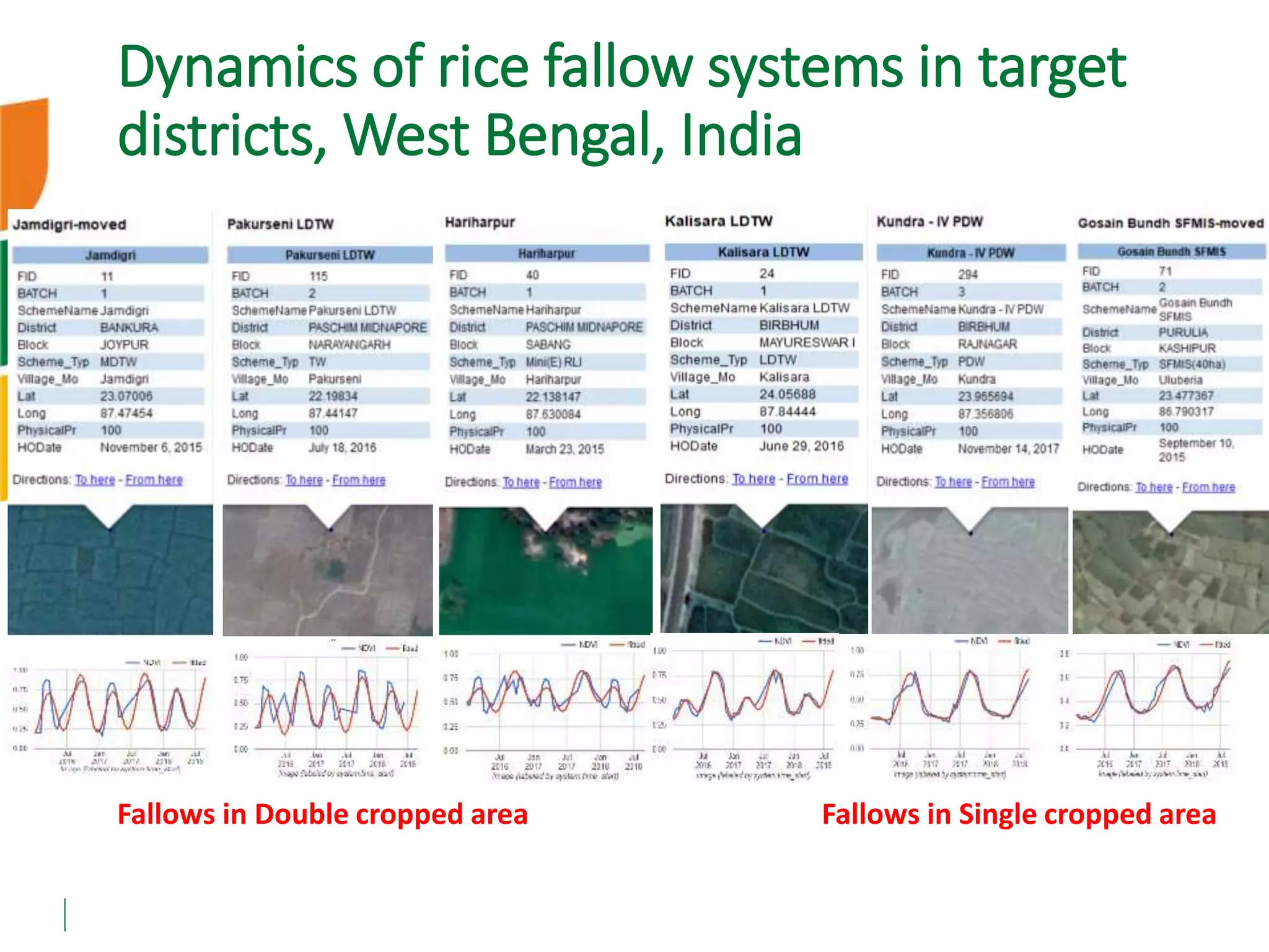 Fallows in Double cropped area Fallows in Single cropped area
Dynamics of rice fallow systems in target
districts, West Bengal, India
 