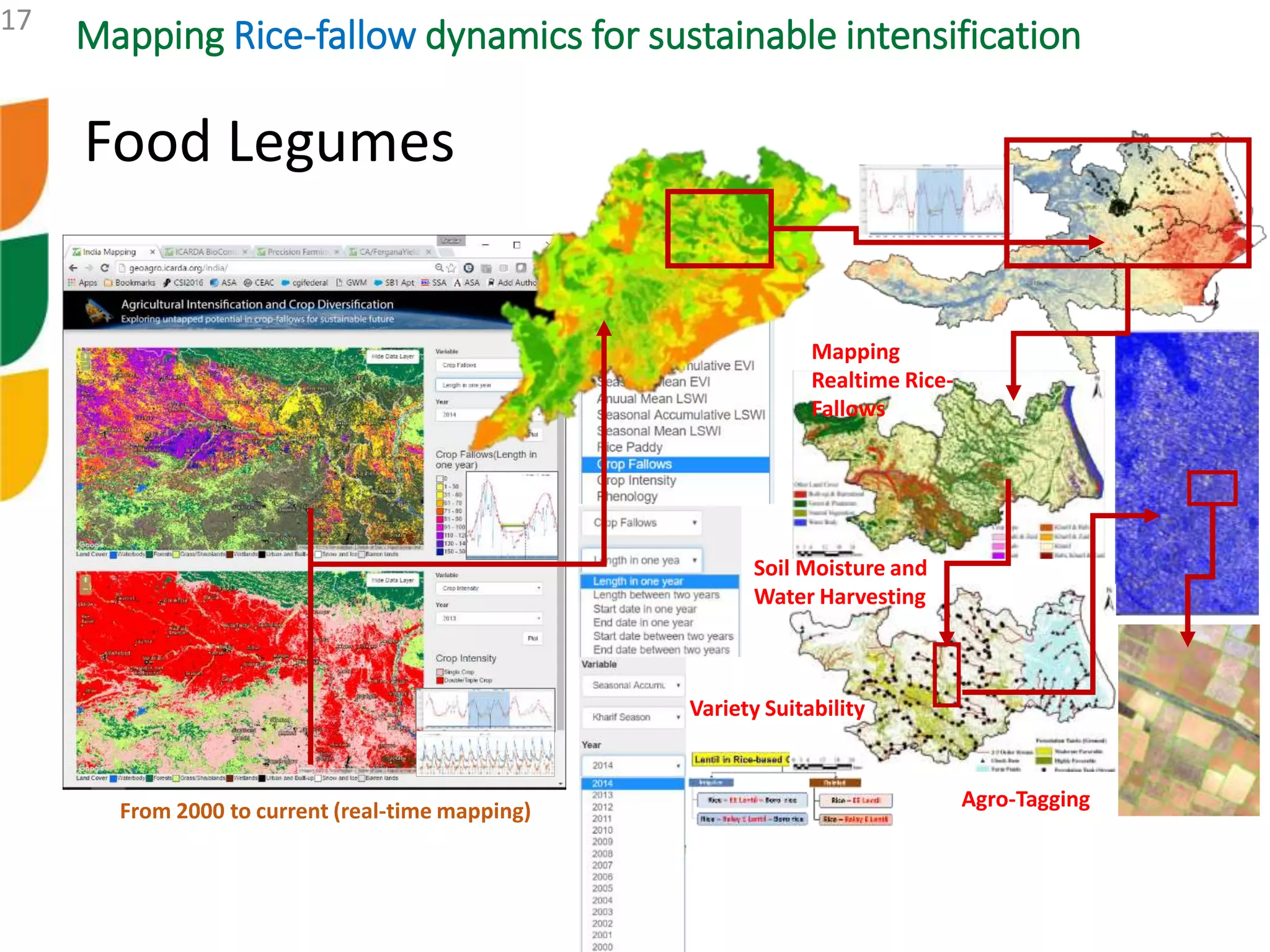 17
Mapping Rice-fallow dynamics for sustainable intensification
From 2000 to current (real-time mapping)
Mapping
Realtime Rice-
Fallows
Soil Moisture and
Water Harvesting
Variety Suitability
Agro-Tagging
Food Legumes
 
