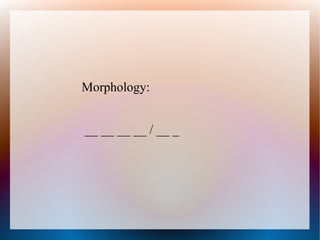 Morphology:


__ __ __ __ / __ _
 
