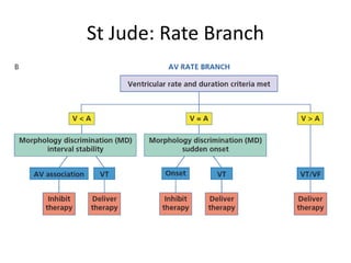 St Jude: Rate Branch
 