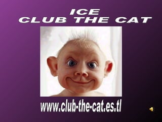 www.club-the-cat.es.tl ICE CLUB THE CAT 