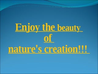 Enjoy the  beauty   of  nature's creation!!!  