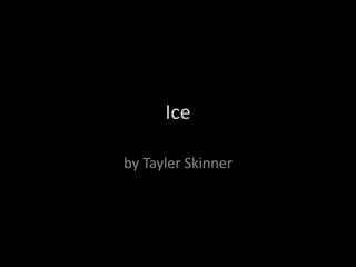 Ice

by Tayler Skinner
 