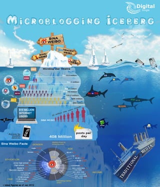 Chinese Microblog Infographic