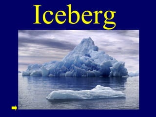 Iceberg
 