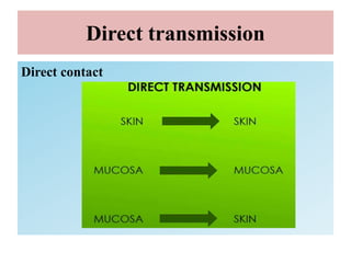 Direct transmission
Direct contact
 