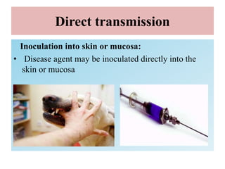 Direct transmission
Inoculation into skin or mucosa:
• Disease agent may be inoculated directly into the
skin or mucosa
 