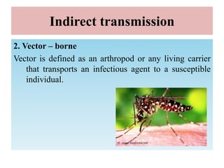 Indirect transmission
2. Vector – borne
Vector is defined as an arthropod or any living carrier
that transports an infectious agent to a susceptible
individual.
 