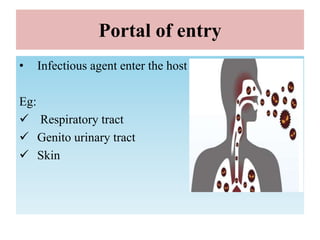 Portal of entry
• Infectious agent enter the host
Eg:
 Respiratory tract
 Genito urinary tract
 Skin
 
