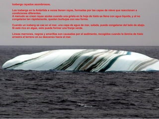 Icebergs rayados asombrosos. Los icebergs en la Antártida a veces tienen rayas, formadas por las capas de nieve que reaccionan a condiciones diferentes. A menudo se crean rayas azules cuando una grieta en la hoja de hielo se llena con agua líquida, y al no congelarse tan rápidamente, quedan burbujas con esa forma. Cuando un iceberg se cae en el mar, una capa de agua de mar, salada, puede congelarse del lado de abajo. Si está rico en algas, esto puede formar una franja verde. Líneas marrones, negras y amarillas son causadas por el sedimento, recogidos cuando la lámina de hielo arrastra el terreno en su descenso hacia el mar.