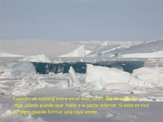 Cuando un iceberg entra en el mar, una capa de agua de mar salada puede que  hiele a la parte inferior. Si esto es rico  en algas,puede formar una raya verde.   