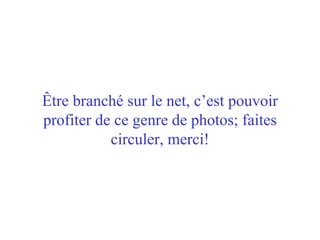 Être branché sur le net, c’est pouvoir profiter de ce genre de photos; faites circuler, merci! 