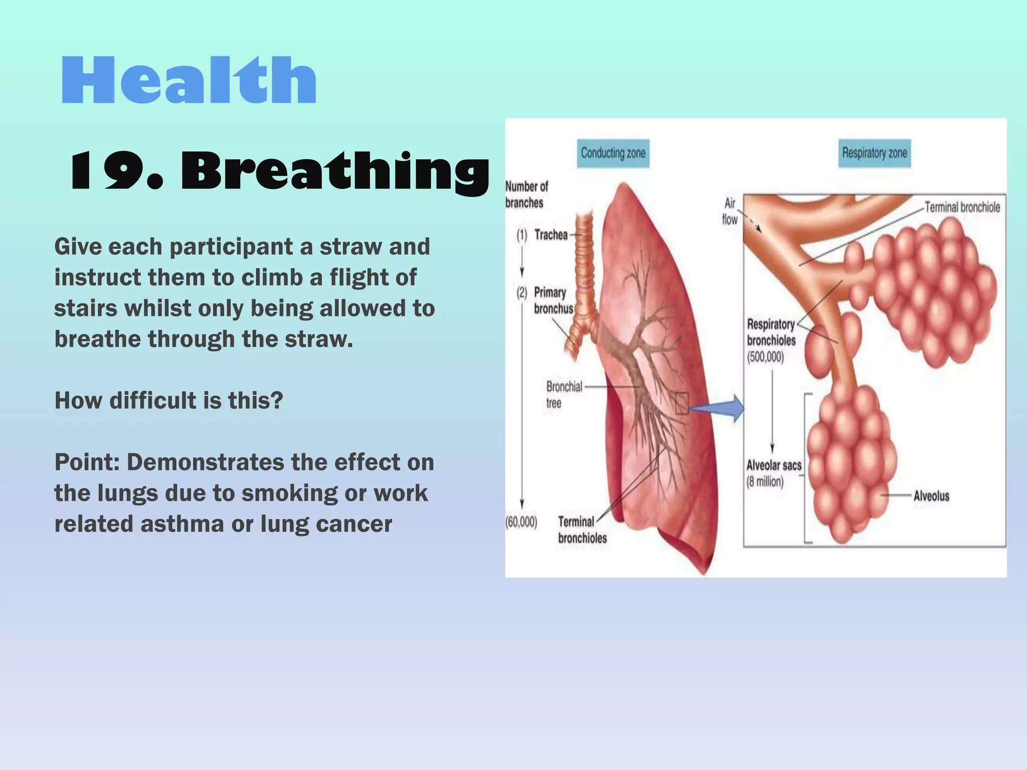 19. Breathing
Give each participant a straw and
instruct them to climb a flight of
stairs whilst only being allowed to
breathe through the straw.
How difficult is this?
Point: Demonstrates the effect on
the lungs due to smoking or work
related asthma or lung cancer
Health
 