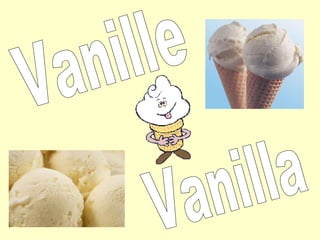 Vanille Vanilla 