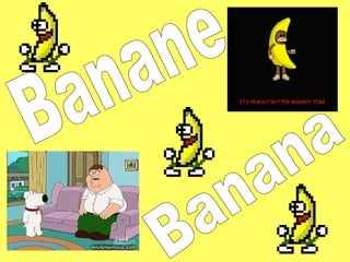 Banane Banana 