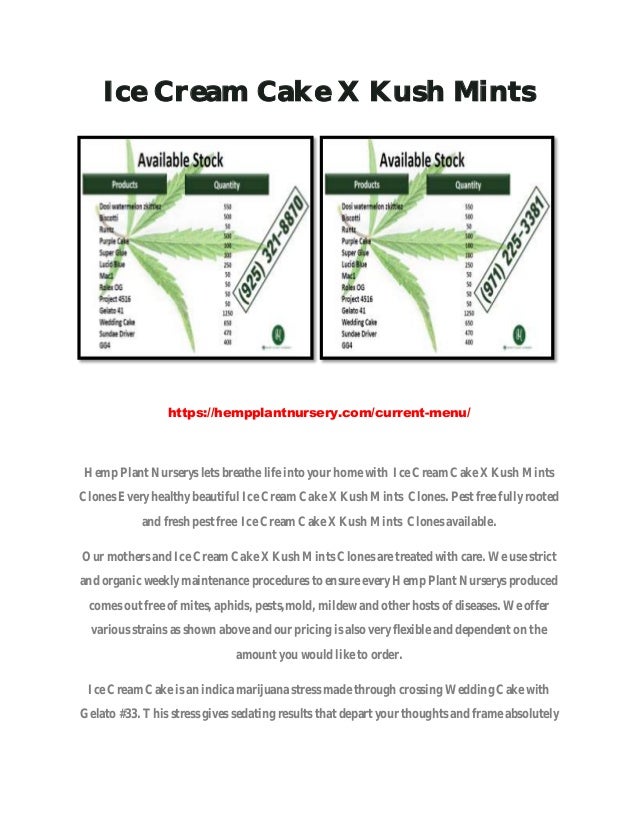 Ice cream cake x kush mints