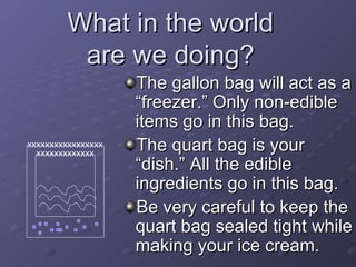 What in the world are we doing? The gallon bag will act as a “freezer.” Only non-edible items go in this bag.  The quart bag is your “dish.” All the edible ingredients go in this bag.  Be very careful to keep the quart bag sealed tight while making your ice cream. xxxxxxxxxxxxx xxxxxxxxxxxxxxxxx 