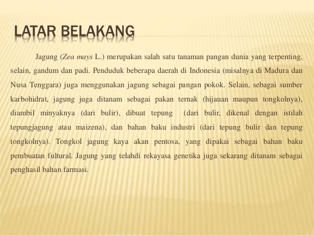 Fenomena Bisnis Online