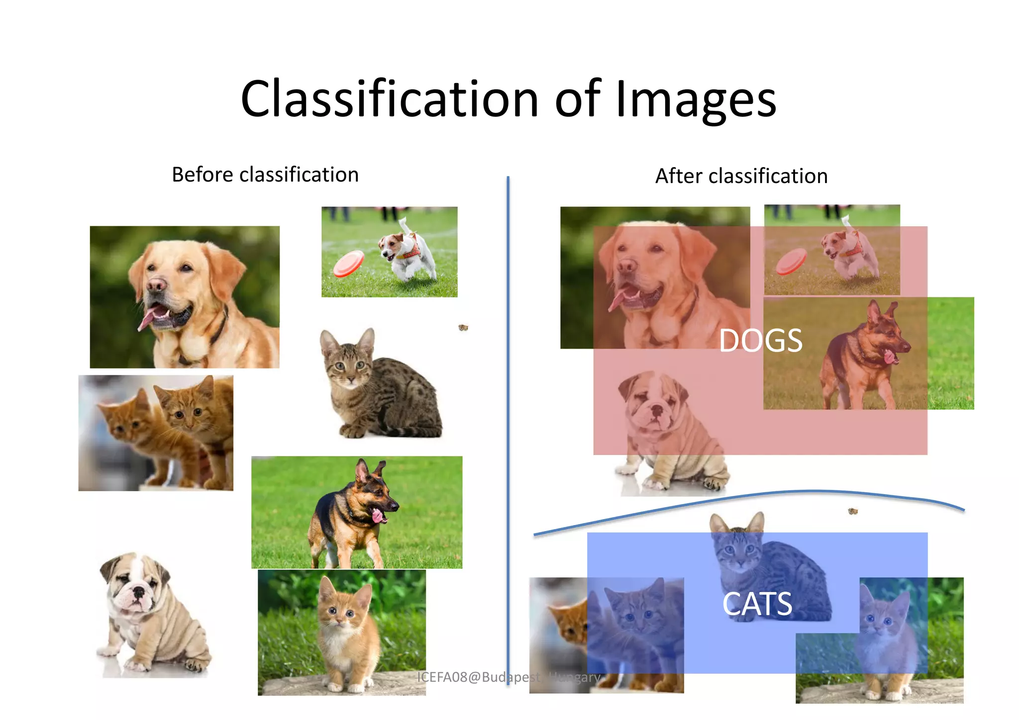 Classification of Images
Before classification After classification
DOGS
CATS
ICEFA08@Budapest, Hungary
 