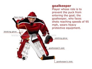 goalkeeper 
Player whose role is to
prevent the puck from
entering the goal; the
goalkeeper, who faces
shots reaching speeds of 95
mph, wears heavy
protective equipment.
 