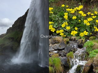 Oxarafoss
 