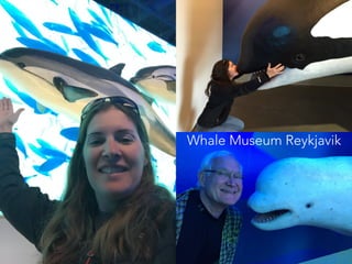 Whale Museum Reykjavik
 