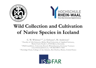 Wild Collection and Cultivation
of Native Species in Iceland
C. W. Whitney1,2,*, J. Gebauer1, M. Anderson3
1 Faculty of Life Sciences, Rhine-Waal University of Applied Sciences,
Marie-Curie-Straße 1, 47533 Kleve, Germany
2 PhD Candidate, University Kassel, Witzenhausen, Germany *contact:
cory.whitney@hsrw.eu, +49 2821 80673 +664
3 Partridge Chair, College of the Atlantic, Bar Harbor, Maine, United States
	
  
 