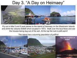 Day 3. “A Day on Heimaey” Fly out in little 5 and 9 seat planes to the  island of Heimaey on the Westmann islands and climb the volcano Eldfell which erupted in 1973.  Walk over the lava flows and see the houses being dug out of the ash. At the top the rock is still warm! The island has a stunning population of puffins! The 1973 eruption of Eldfell Fly out to Heimaey! 