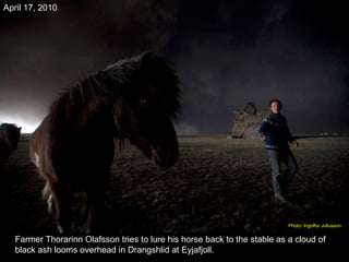 Farmer Thorarinn Olafsson tries to lure his horse back to the stable as a cloud of black ash looms overhead in Drangshlid at Eyjafjoll. April 17, 2010 Photo: Ingolfur Juliusson  