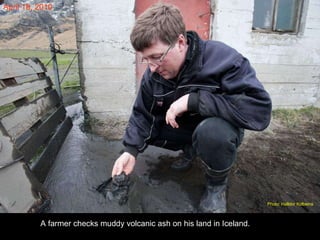 A farmer checks muddy volcanic ash on his land in Iceland. April 18, 2010 Photo: Halldor Kolbeins   