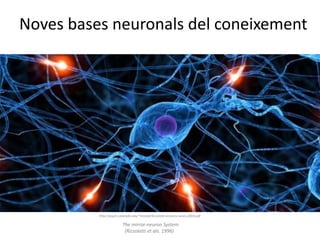 Noves bases neuronals del coneixement
http://psych.colorado.edu/~kimlab/Rizzolatti.annurev.neuro.2004.pdf
The mirror-neuron System
(Rizzolatti et als. 1996)
 