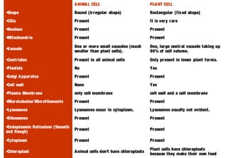 ANIMAL CELL PLANT CELL
•Shape Round (irregular shape) Rectangular (fixed shape)
•Cilia Present It is very rare
•Nucleus Present Present
•Mitochondria Present Present
•Vacuole
One or more small vacuoles (much
smaller than plant cells).
One, large central vacuole taking up
90% of cell volume.
•Centrioles Present in all animal cells Only present in lower plant forms.
•Plastids No Yes
•Golgi Apparatus Present Present
•Cell wall None Yes
•Plasma Membrane only cell membrane cell wall and a cell membrane
•Microtubules/ Microfilaments Present Present
•Lysosomes Lysosomes occur in cytoplasm. Lysosomes usually not evident.
•Ribosomes Present Present
•Endoplasmic Reticulum (Smooth
and Rough)
Present Present
•Cytoplasm Present Present
•Chloroplast Animal cells don't have chloroplasts
Plant cells have chloroplasts
because they make their own food
 
