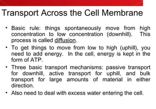 Transport Across the Cell Membrane
• Basic rule: things spontaneously move from high
concentration to low concentration (downhill). This
process is called diffusion.
• To get things to move from low to high (uphill), you
need to add energy. In the cell, energy is kept in the
form of ATP.
• Three basic transport mechanisms: passive transport
for downhill, active transport for uphill, and bulk
transport for large amounts of material in either
direction.
• Also need to deal with excess water entering the cell.
 