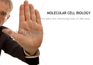 MOLECULAR CELL BIOLOGY
Pravin Jadhav, Ph D., Biotechnology Center, Dr. PDKV, Akola
 
