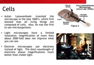 Cells
• Anton Leeuwenhoek invented the
microscope in the late 1600’s, which first
showed that all living things are
composed of cells. Also, he was the first
to see microorganisms.
• Light microscopes have a limited
resolution: magnification of more than
about 2000-fold does not improve what
you can see.
• Electron microscopes use electrons
instead of light. The short wavelength of
electrons allows magnifications much
better than visible light.
 