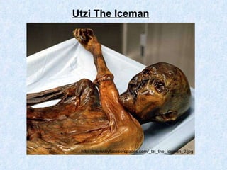 Utzi The Iceman http://themanyfacesofspaces.com/_tzi_the_Iceman_2.jpg 