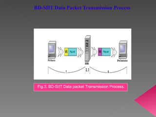Fig.3. BD-SIIT Data packet Transmission Process. 