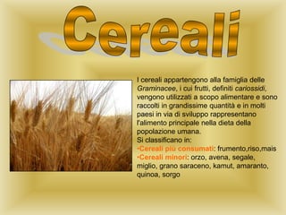 I cereali appartengono alla famiglia delle
Graminacee, i cui frutti, definiti cariossidi,
vengono utilizzati a scopo alimentare e sono
raccolti in grandissime quantità e in molti
paesi in via di sviluppo rappresentano
l'alimento principale nella dieta della
popolazione umana.
Si classificano in:
•Cereali più consumati: frumento,riso,mais
•Cereali minori: orzo, avena, segale,
miglio, grano saraceno, kamut, amaranto,
quinoa, sorgo

 