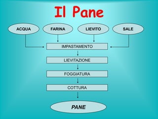 Il Pane
ACQUA

FARINA

LIEVITO

IMPASTAMENTO

LIEVITAZIONE

FOGGIATURA

COTTURA

PANE

SALE

 
