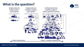 Holsman et al 2017 & ICES
What is the question?
 