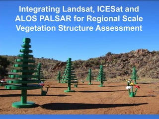 Integrating Landsat, ICESat and
ALOS PALSAR for Regional Scale
Vegetation Structure Assessment
 