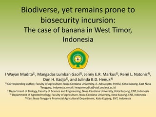 Biodiverse, yet remains prone to
biosecurity incursion:
The case of banana in West Timor,
Indonesia
I Wayan Mudita1), Mangadas Lumban Gaol2), Jenny E.R. Markus3), Remi L. Natonis4),
Don H. Kadja3), and Julinda B.D. Henuk3)
1) Corresponding author, Faculty of Agriculture, Nusa Cendana University, Jl. Adisucipto, Penfui, Kota Kupang, East Nusa
Tenggara, Indonesia, email: iwayanmudita@staf.undana.ac.id
2) Department of Biology, Faculty of Science and Engineering, Nusa Cendana University, Kota Kupang, ENT, Indonesia
3) Department of Agrotechnology, Faculty of Agriculture, Nusa Cendana University, Kota Kupang, ENT, Indonesia
4) East Nusa Tenggara Provincial Agricultural Department, Kota Kupang, ENT, Indonesia
 