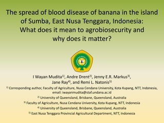 The spread of blood disease of banana in the island
of Sumba, East Nusa Tenggara, Indonesia:
What does it mean to agrobiosecurity and
why does it matter?
I Wayan Mudita1), Andre Drent2), Jenny E.R. Markus3),
Jane Ray4), and Remi L. Natonis5)
1) Corresponding author, Faculty of Agriculture, Nusa Cendana University, Kota Kupang, NTT, Indonesia,
email: iwayanmudita@staf.undana.ac.id
2) University of Queensland, Brisbane, Queensland, Australia
3) Faculty of Agriculture, Nusa Cendana University, Kota Kupang, NTT, Indonesia
4) University of Queensland, Brisbane, Queensland, Australia
5) East Nusa Tenggara Provincial Agricultural Department, NTT, Indonesia
 