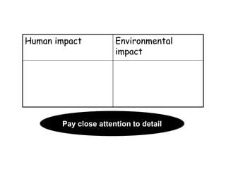 Human impact

Environmental
impact

Pay close attention to detail

 