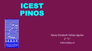 ICEST
PINOS
Alexia Elizabeth Vallejo Aguilar
2° “C”
Informática II

 