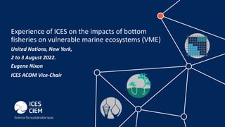 Experience of ICES on the impacts of bottom
fisheries on vulnerable marine ecosystems (VME)
United Nations, New York,
2 to 3 August 2022.
Eugene Nixon
ICES ACOM Vice-Chair
 