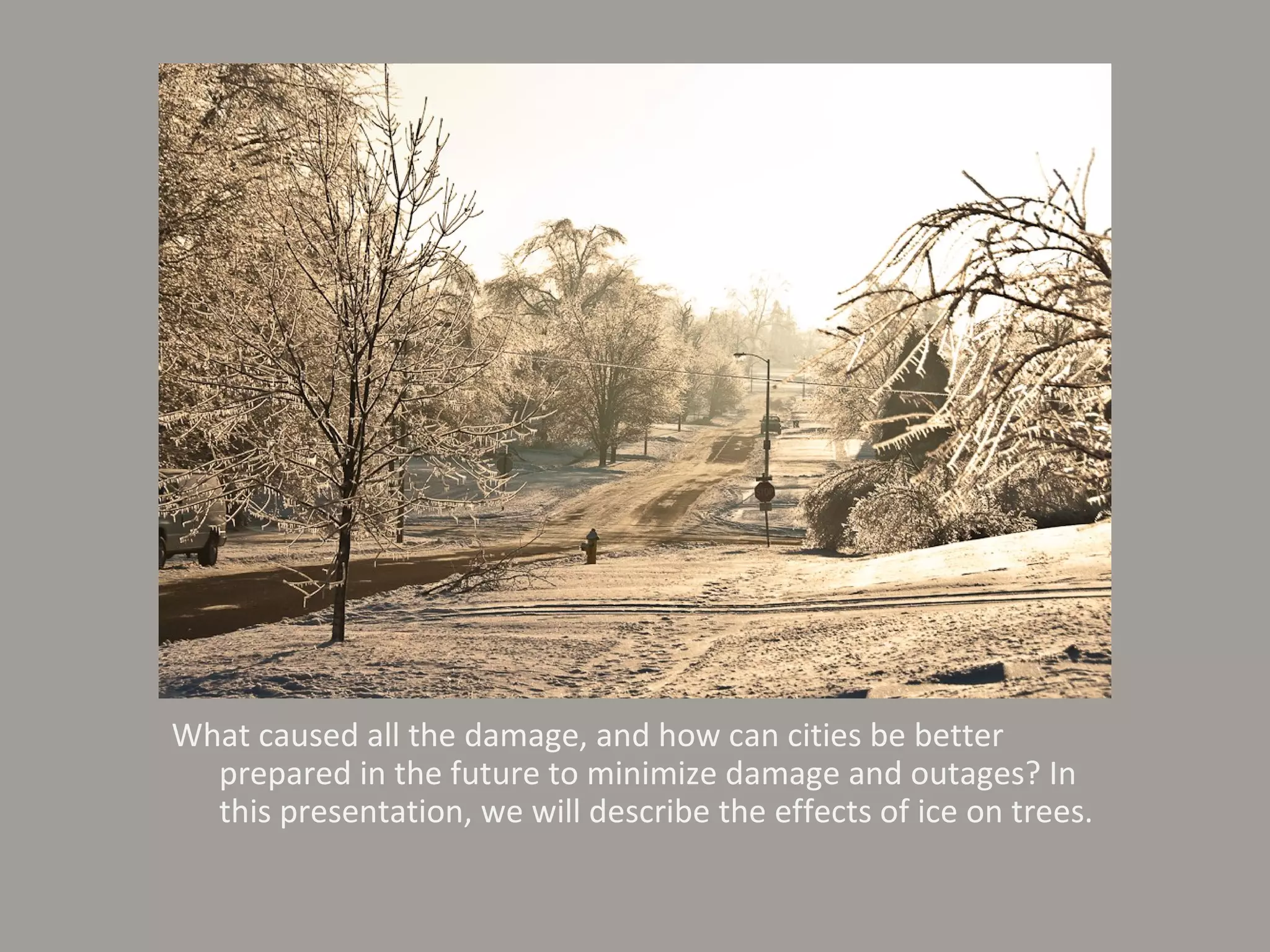 What caused all the damage, and how can cities be better prepared in the future to minimize damage and outages? In this presentation, we will describe the effects of ice on trees. 